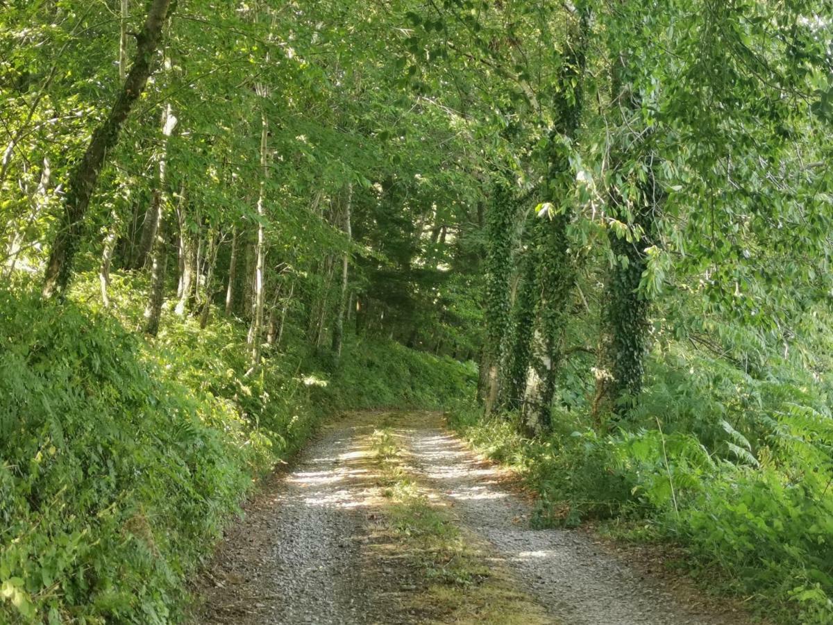 Domaine Lvd Avec Spa, Bois Et Riviere Privee La Bloutiere Kültér fotó