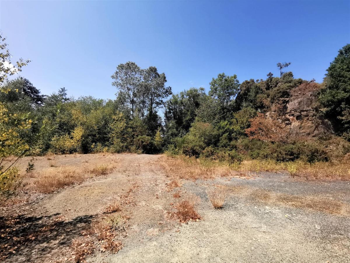 Domaine Lvd Avec Spa, Bois Et Riviere Privee La Bloutiere Kültér fotó